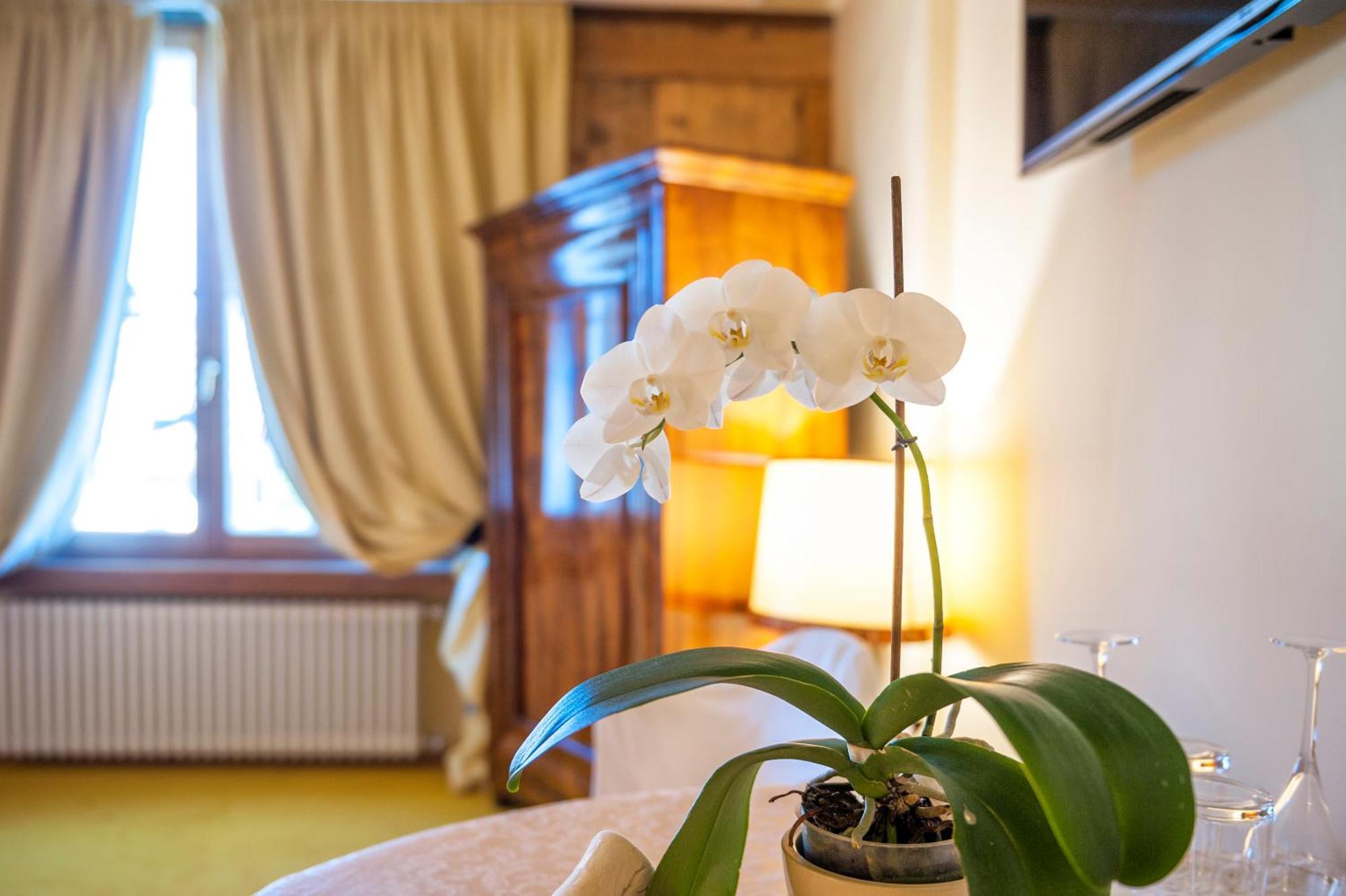Villa Orso Grigio ロンツォーネ エクステリア 写真